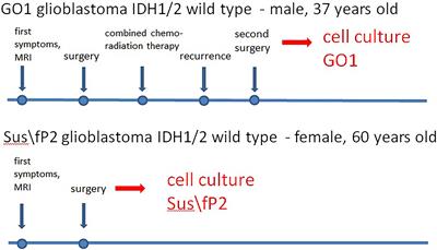 Reparative properties of human glioblastoma cells after single exposure to a wide range of X-ray doses